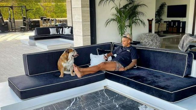 男女做爰全过程免费的软件