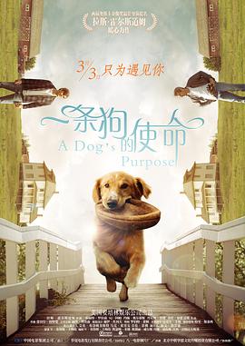 小镇姑娘电影在线观看