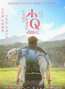 欧美视频在线一区二区