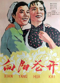 a级小视频