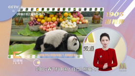 最近日本高清电影在线观看